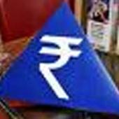 These 15 companies will feel the pain of a sinking rupee