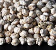 Higher output likely to keep chana flat