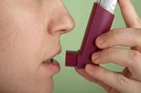 Good news for 13 million Indian asthmatics - Ginger abundantly found, shown to ease asthma attack